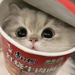 Michelle Paredes avatar